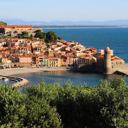 Cosy Nid Douillet Au Coeur Du Centre Ville De Perpignan Dış mekan fotoğraf