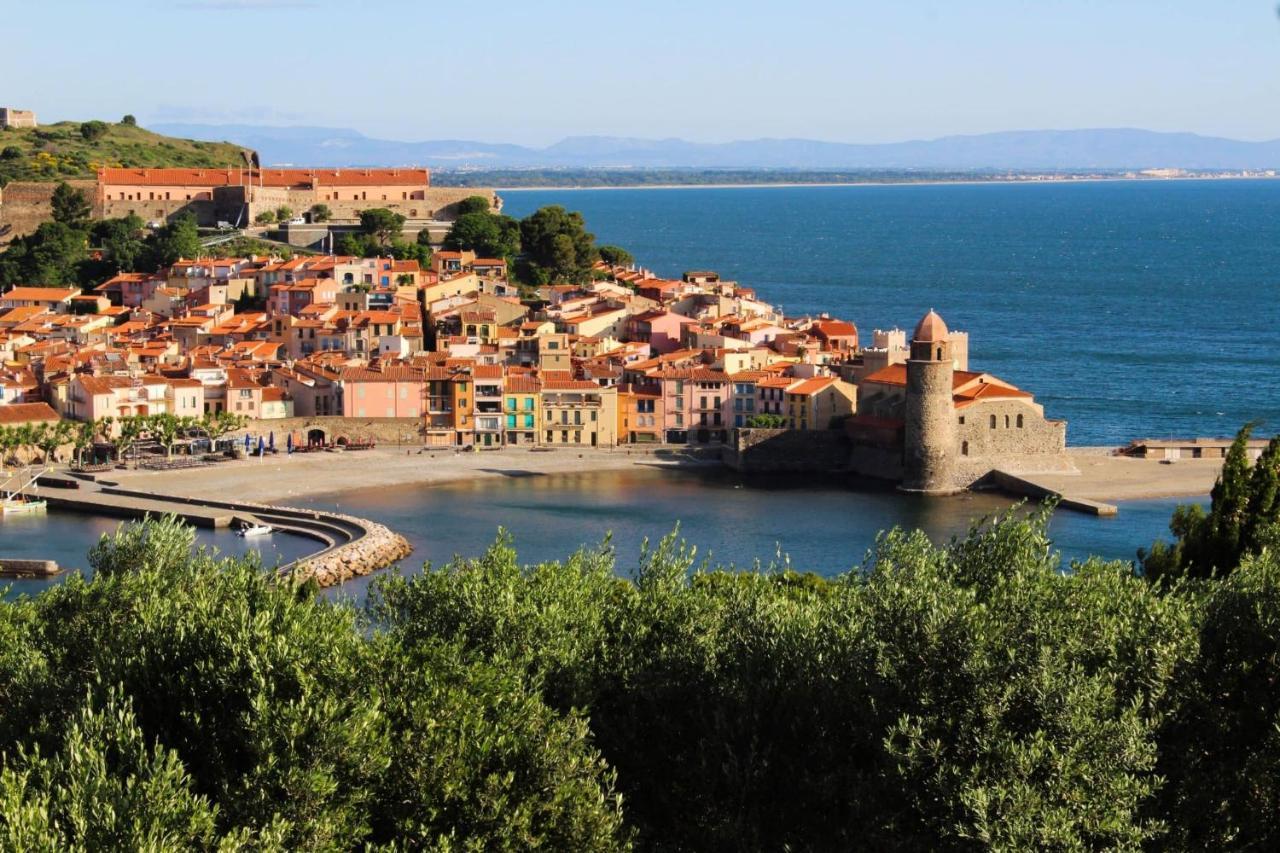 Cosy Nid Douillet Au Coeur Du Centre Ville De Perpignan Dış mekan fotoğraf